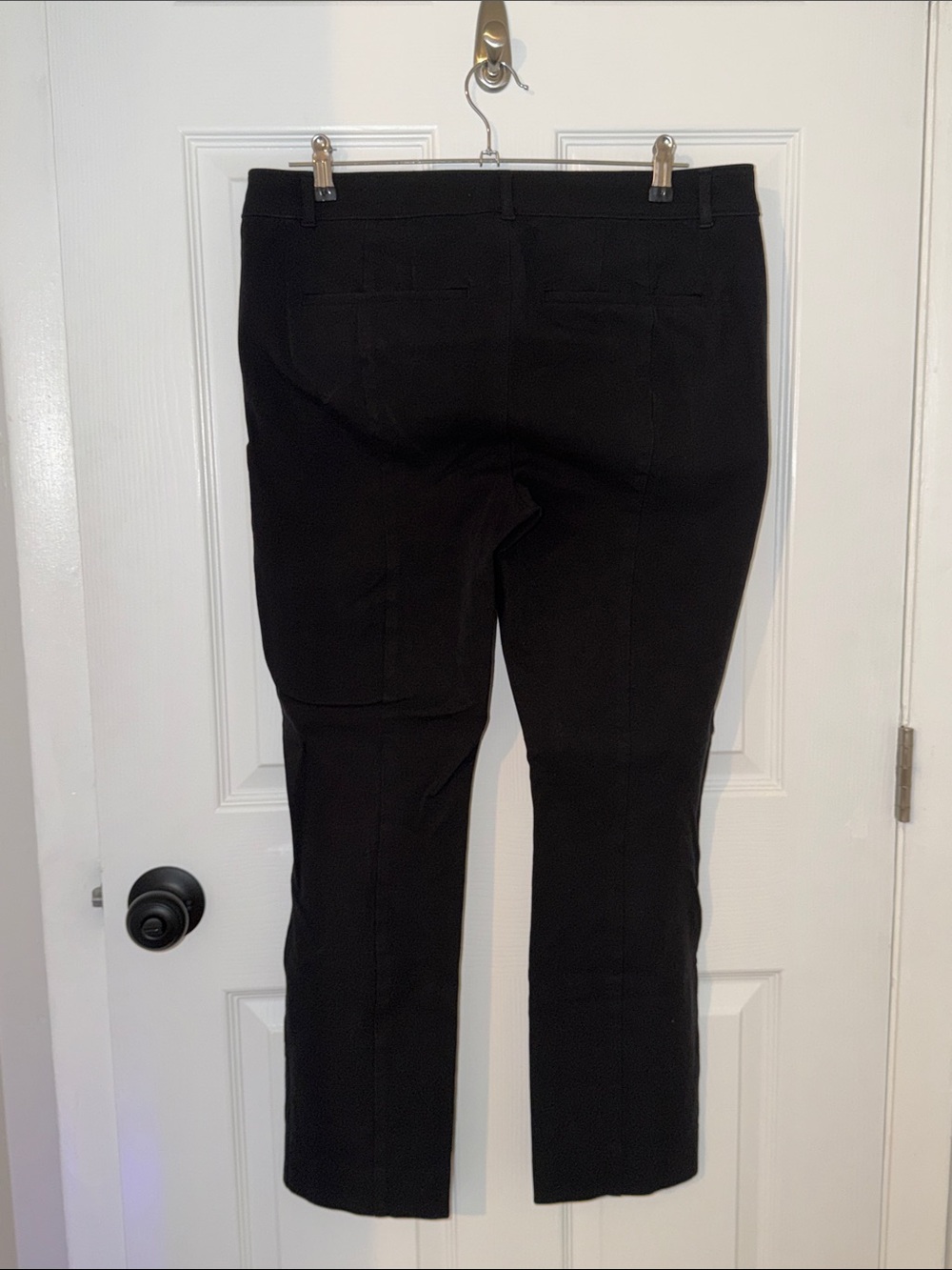 AYR The Daily Dose Pant - Picture 4 of 8